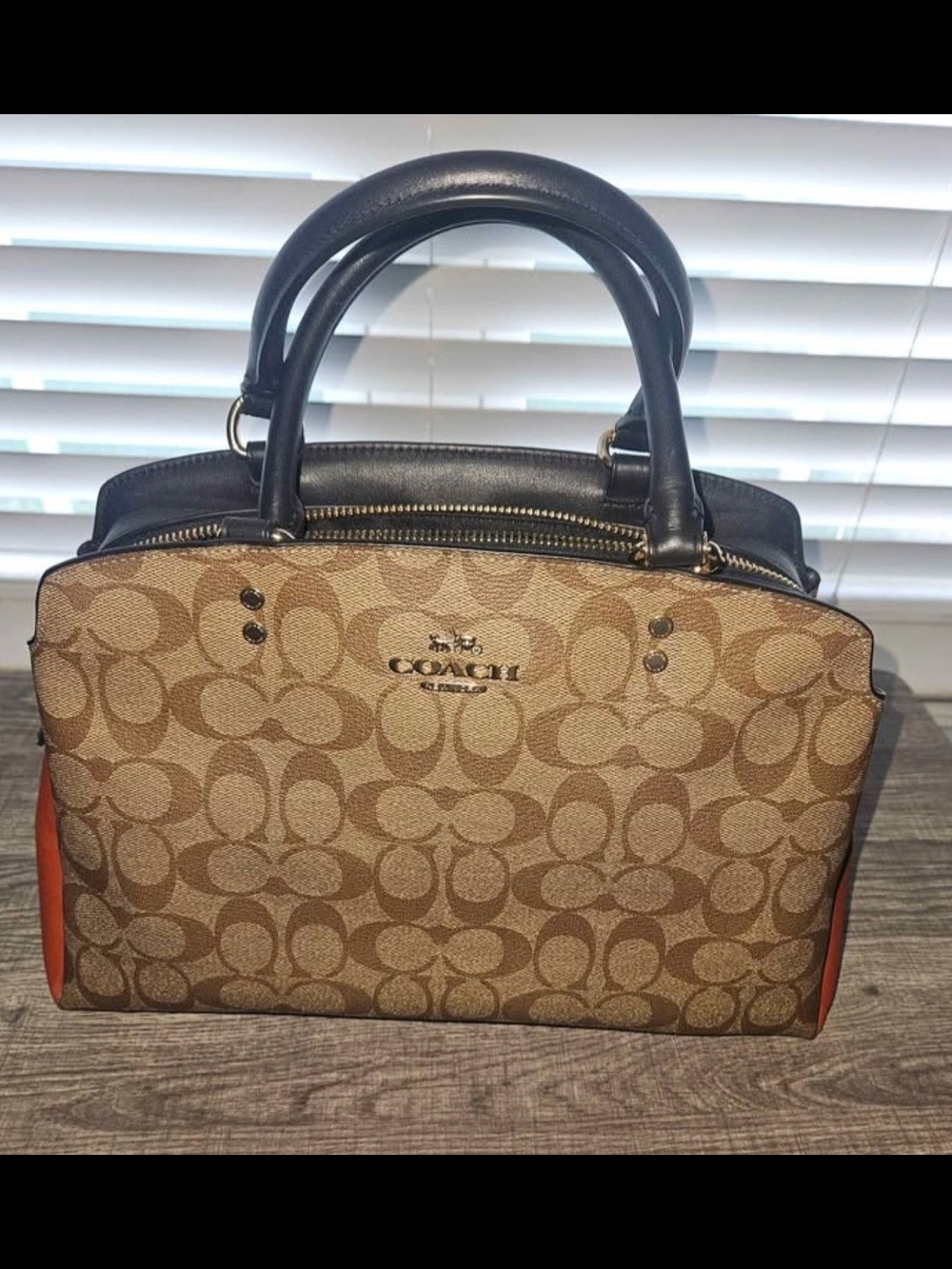 COACH Signature Canvas Lily Color Block